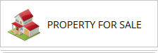 Lokmat Property Ad